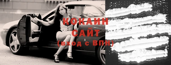 гашик Заводоуковск
