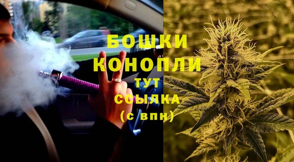 гашик Заводоуковск