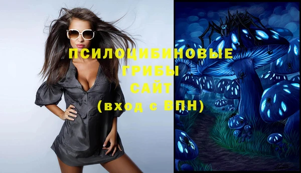 гашик Заводоуковск