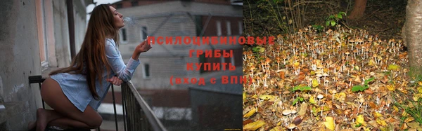 гашик Заводоуковск