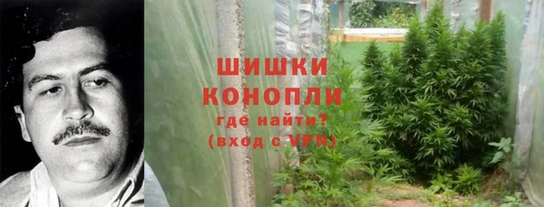 амф Заволжье