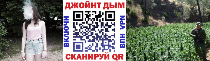 Купить  Сафоново  Каннабис план 